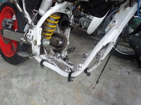 DSCN9928
