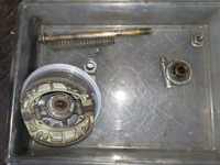 DSCN5161
