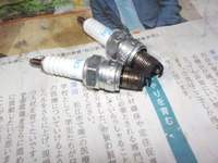 DSCN8105