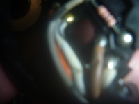 P1210237