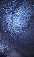 Photo_8