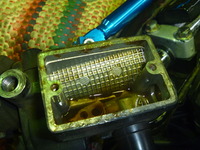 P1010558