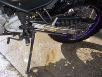 DSCN3616