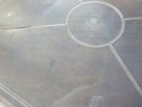 DSCN0699