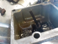 DSCN3689