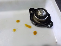 DSCN0047