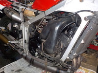 DSCN5773