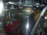 P1160258