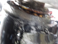 DSCN4490