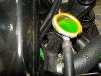 DSCN2668