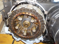 DSCN5941