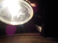 DSCN8513