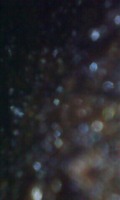 Photo_3