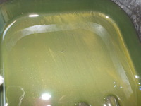 DSCN0500