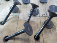 DSCN0677
