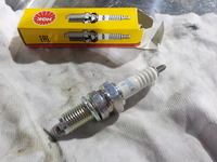 DSCN6748