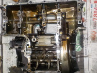 DSCN0377