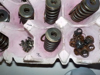 DSCN2503