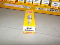 DSCN3646