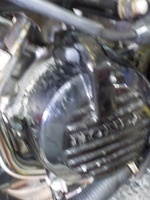 DSCN5608
