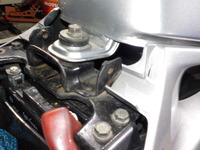 DSCN6356