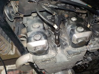 DSCN5427