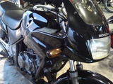 xelvis20111204ws (1)