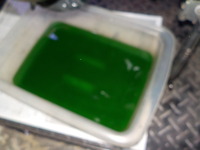 DSCN8008