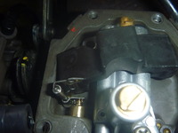 P1050005