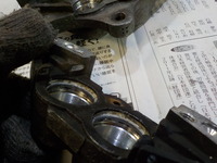 DSCN0667