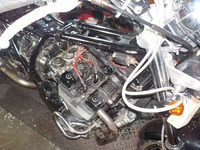 DSCN5937