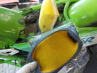 DSCN3172