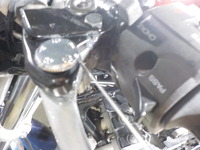 DSCN5454
