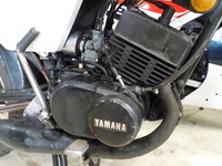 DSCN4649