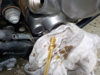 DSCN4524