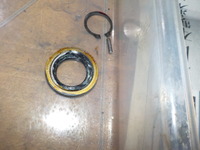 DSCN5193