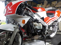 DSCN8252