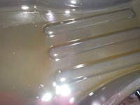 DSCN0695