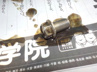 DSCN2168