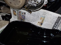 DSCN5919
