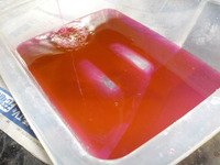 DSCN1070