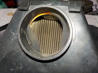 DSCN3437