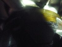 P1010597