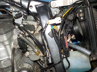 DSCN4958