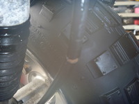 P1100098