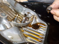 DSCN6202