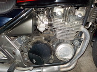 DSCN5331
