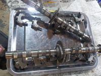 DSCN4135
