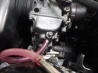 DSCN3503 (2)