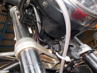 DSCN3237